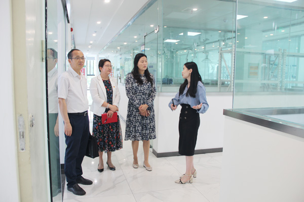 区党工委办公室主任卜红霞一行莅临我司指导党建工作