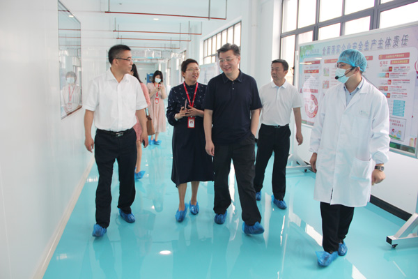 合肥市新站高新区党工委书记、管委会主任路军一行莅临PA视讯集团官网调研