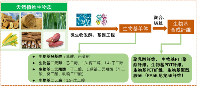 PA视讯集团官网